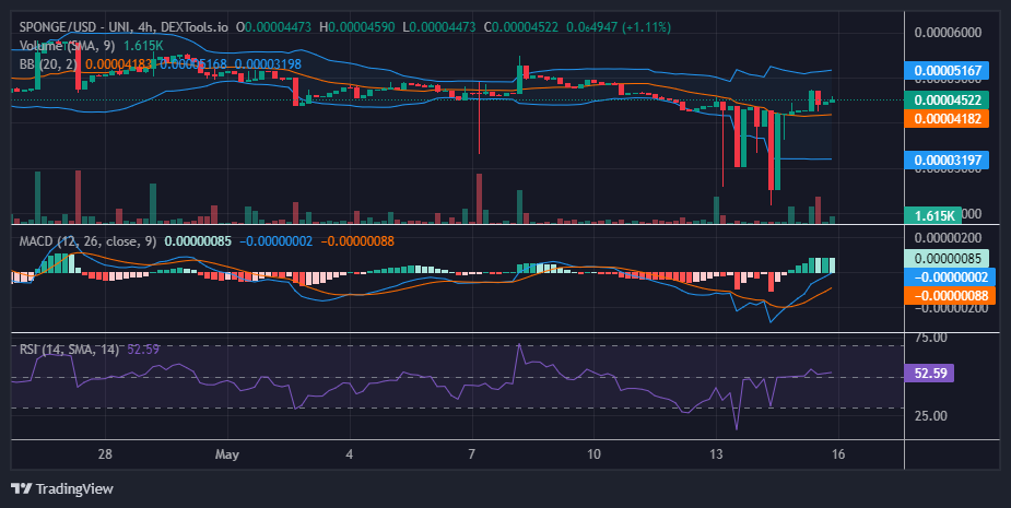 $SPONGE (SPONGE/USD): Is This the Bullish Springboard We've Been Waiting For?