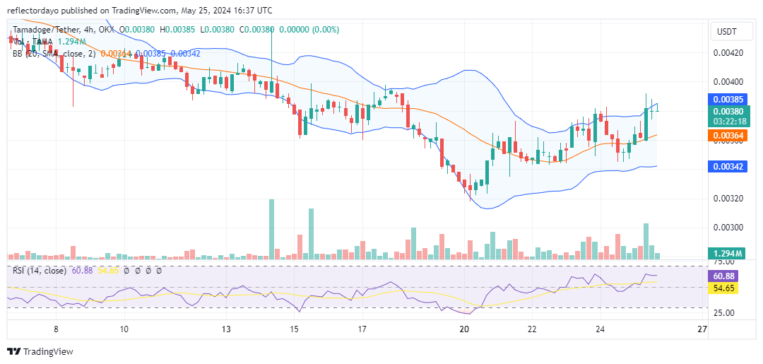 Tamadoge (TAMA/USD) Holding Steady After Brushing $0.0038