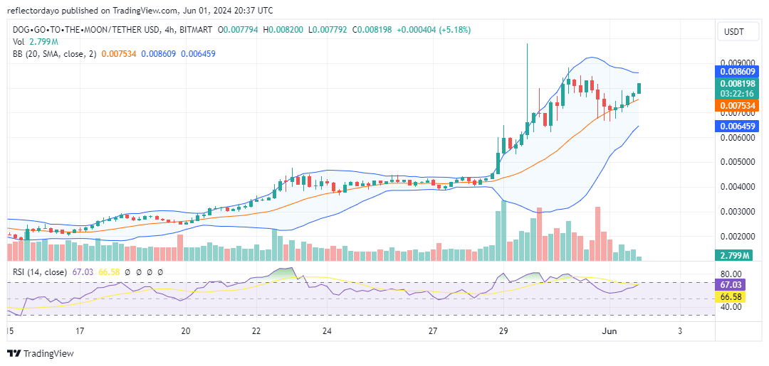 Top Trending Coins for Today, June 1: NOT, STRUMP, DOG, MEW and PEPE