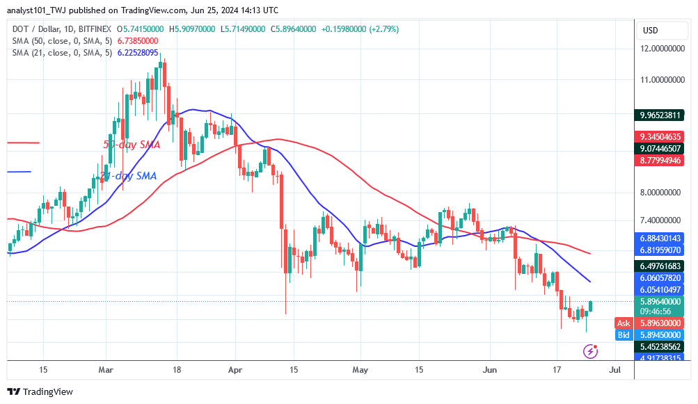 Polkadot Is in Decline but Faces More Rejection at $6.00