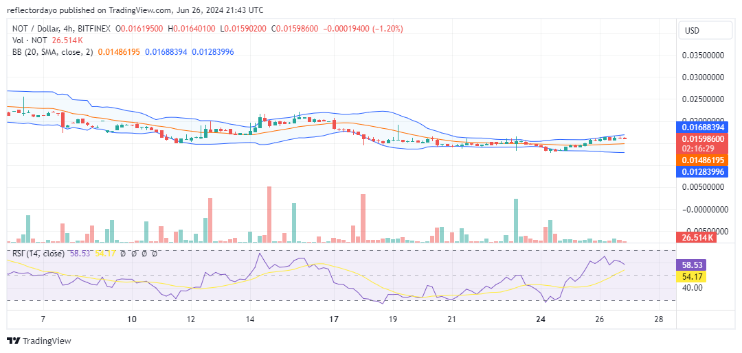 Notcoin (NOT/USD): Price Stalls at $0.015, Key Support Level to Watch