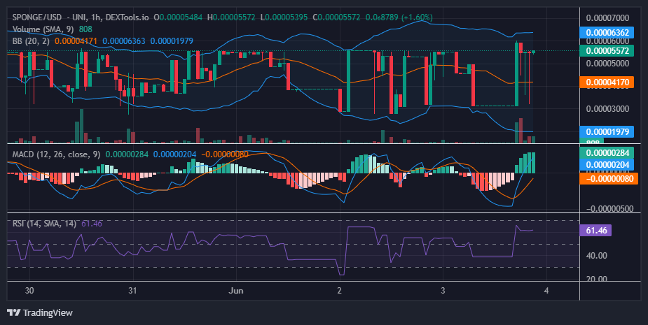 $SPONGE (SPONGE/USD) Rebounds From Support, Aims to Reclaim $0.000055 Resistance