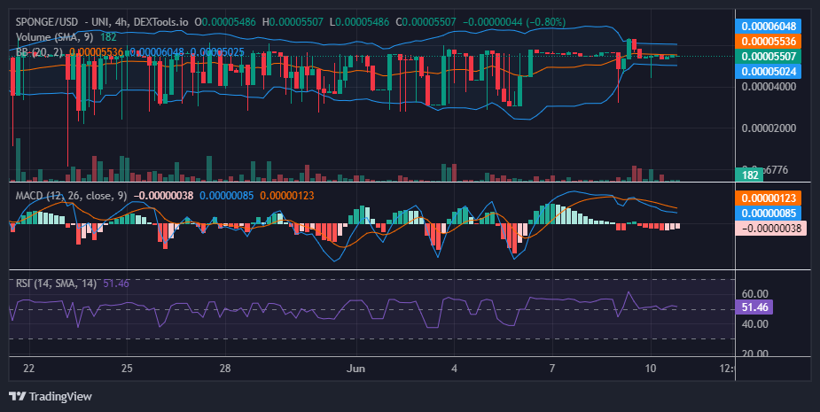 $SPONGE (SPONGE/USD) Soars: Can Bulls Hold Onto Gains Above $0.000055?