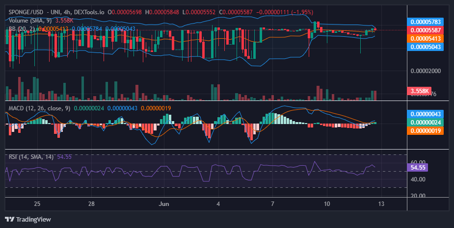 $SPONGE (SPONGE/USD) Price Swings: Bulls Battle to Hold $0.000055 Frontier