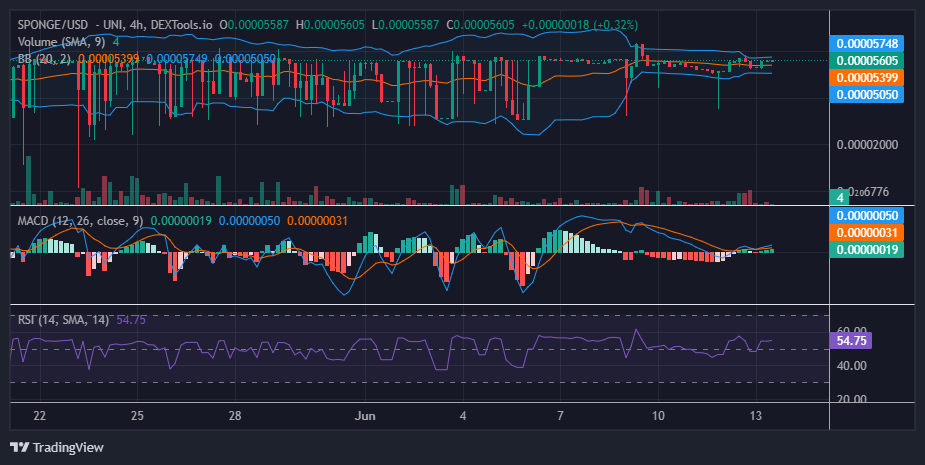 $SPONGE (SPONGE/USD) Price Battle: Bulls Establish Themselves at $0.000055