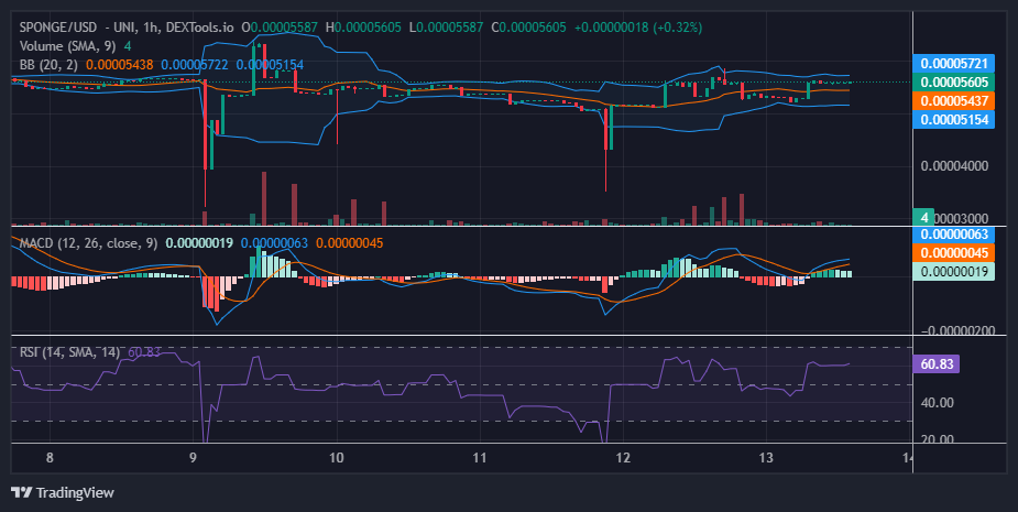 $SPONGE (SPONGE/USD) Price Battle: Bulls Establish Themselves at $0.000055
