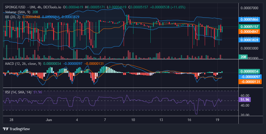 $SPONGE (SPONGE/USD) Bulls Display Strength, Targeting a Reclaim of $0.000055