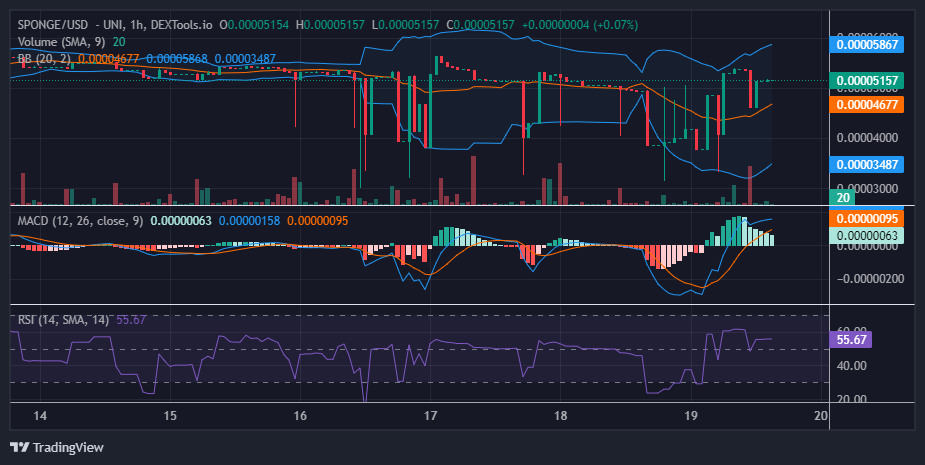 $SPONGE (SPONGE/USD) Bulls Display Strength, Targeting a Reclaim of $0.000055