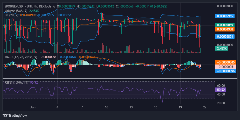 SPONGE (SPONGE/USD): Can the Sponges Squeeze Past the $0.000055 Barrier?