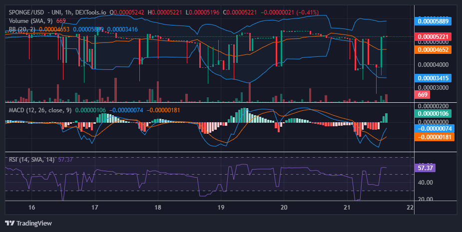 SPONGE (SPONGE/USD): Can the Sponges Squeeze Past the $0.000055 Barrier?