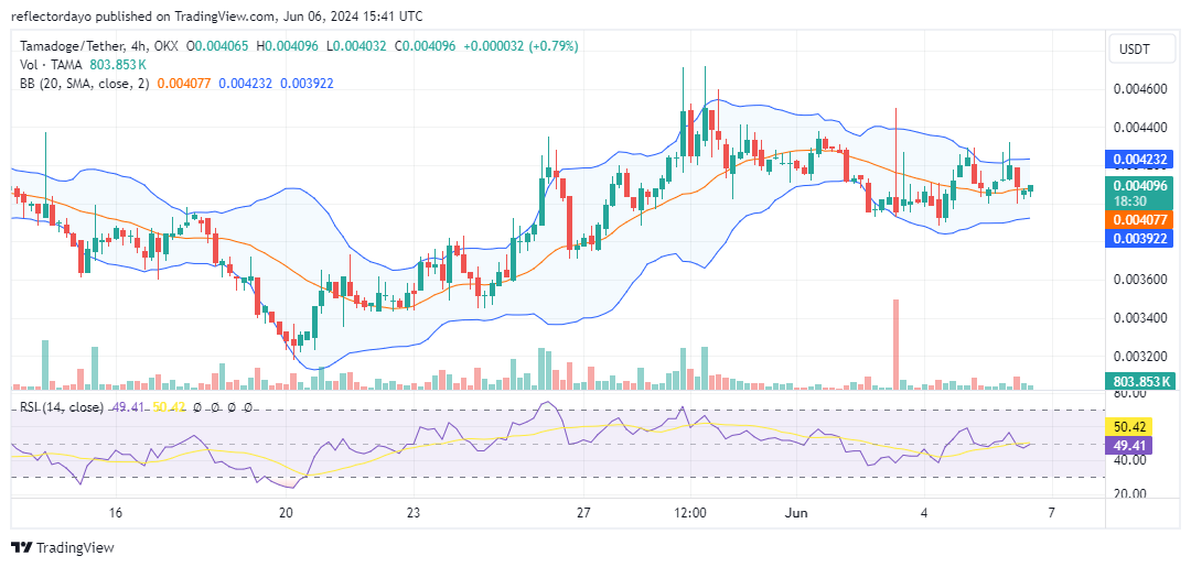 Tamadoge (TAMA/USD) Poised for a Bull Run After Price Correction