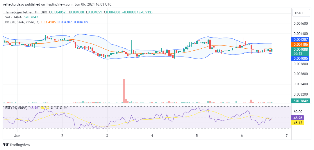 Tamadoge (TAMA/USD) Poised for a Bull Run After Price Correction