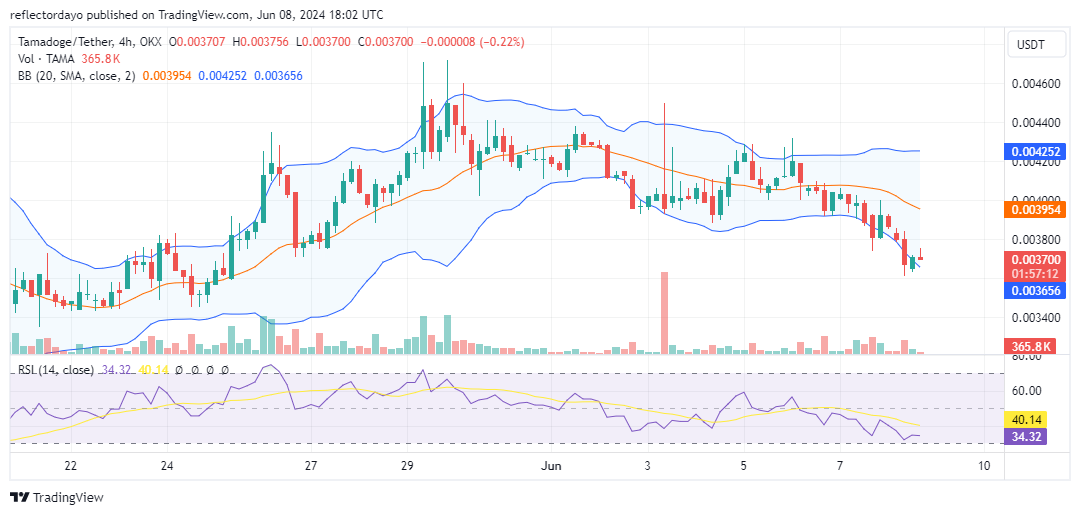 Tamadoge (TAMA/USD): Price Dips Below $0.004—Big Entry Opportunity!