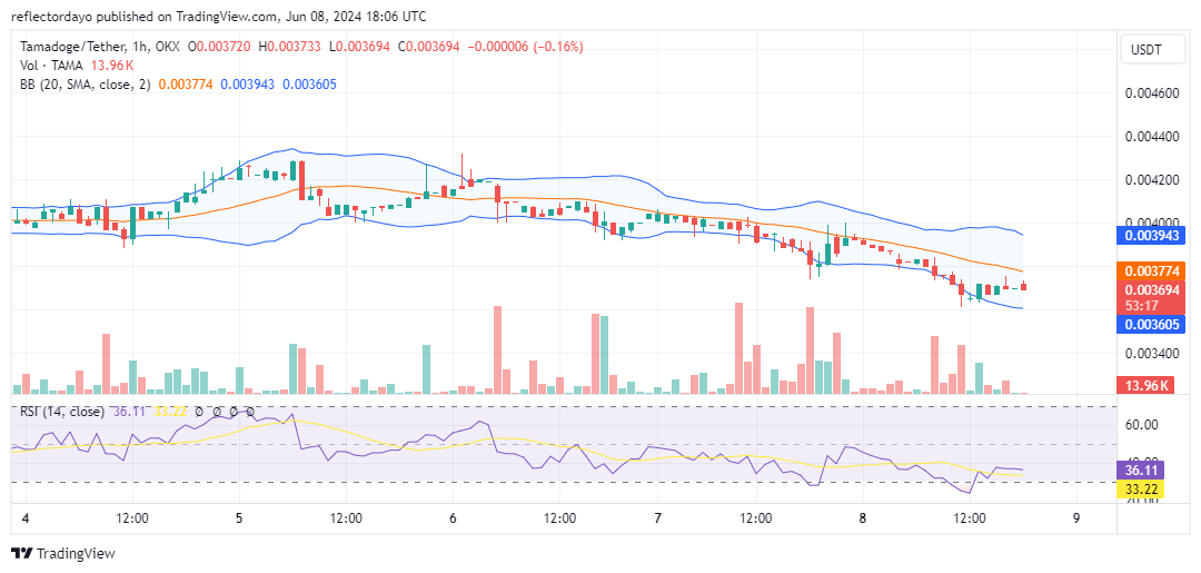 Tamadoge (TAMA/USD): Price Dips Below $0.004—Big Entry Opportunity!