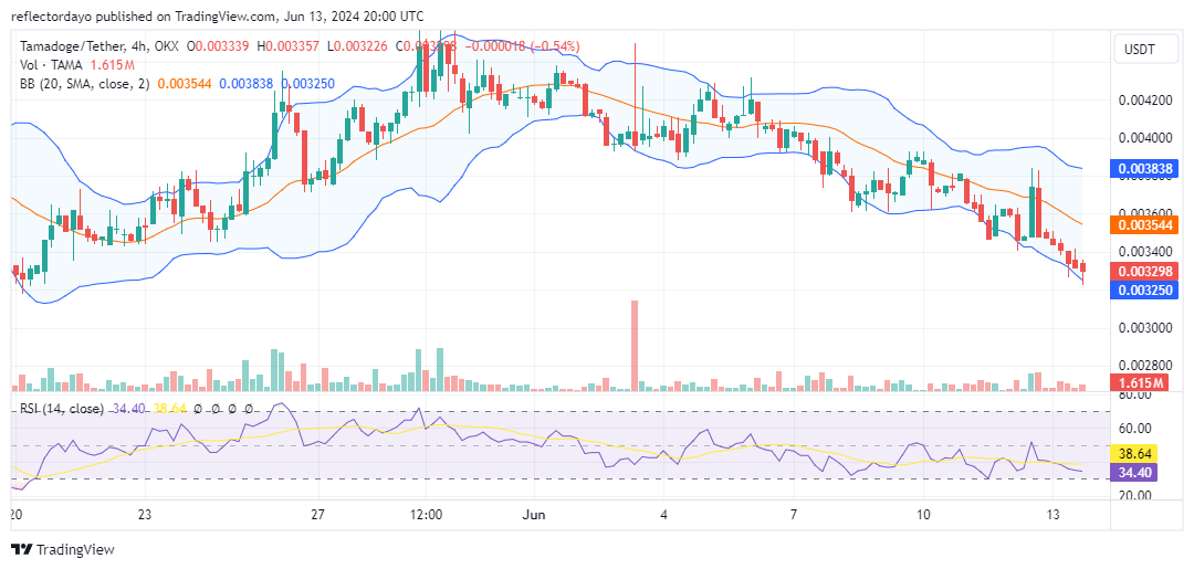 Tamadoge (TAMA/USD) Seeks Solid Ground Around the $0.0031 Price Level