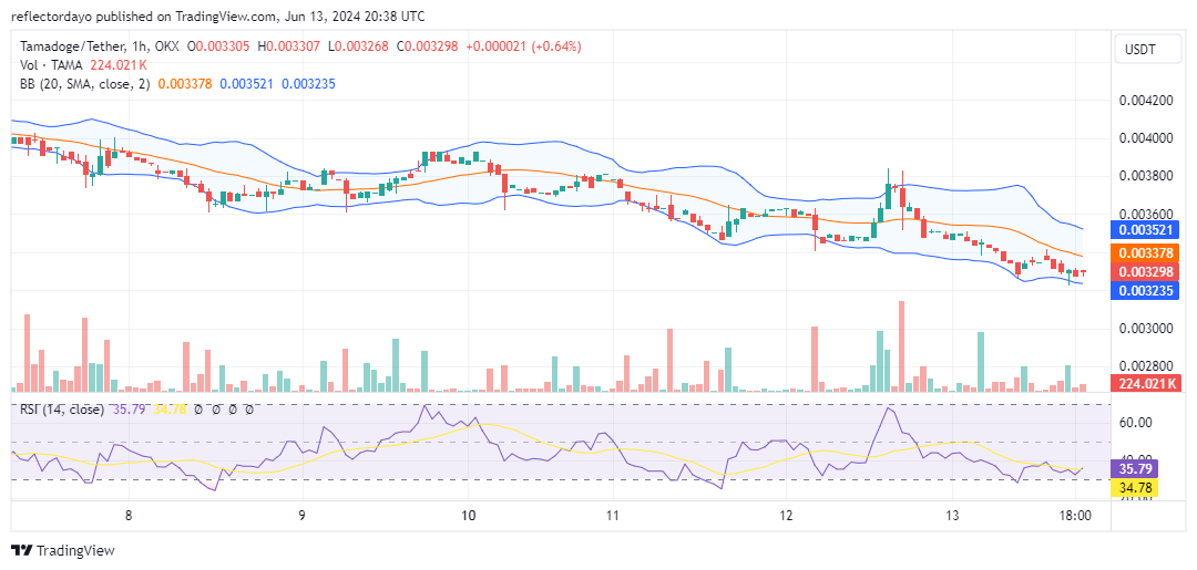 Tamadoge (TAMA/USD) Seeks Solid Ground Around the $0.0031 Price Level