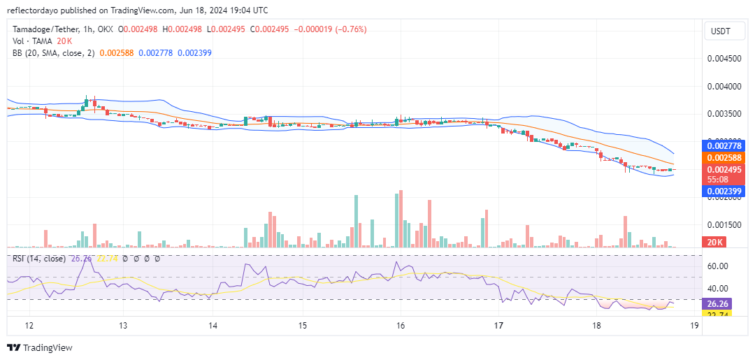 Tamadoge (TAMA/USD): Price Dips to $0.0025 - Buying Opportunity