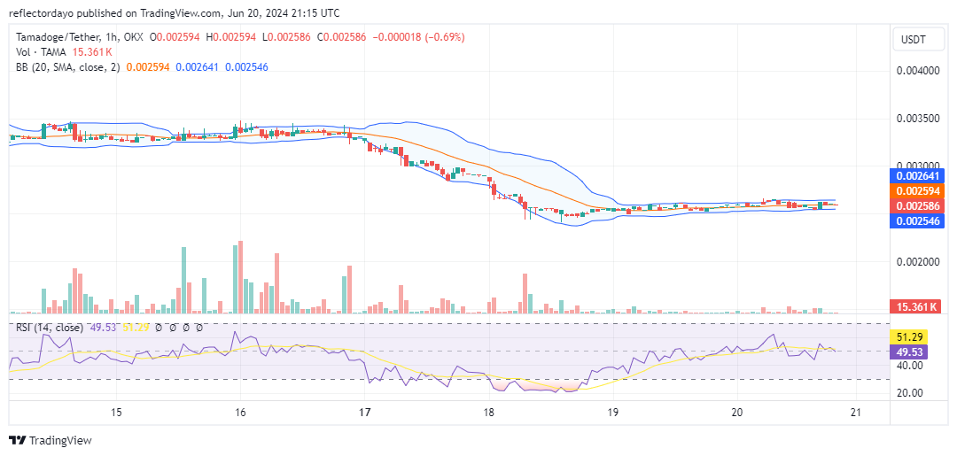Tamadoge (TAMA/USD) Tumbles: Buy the Dip!
