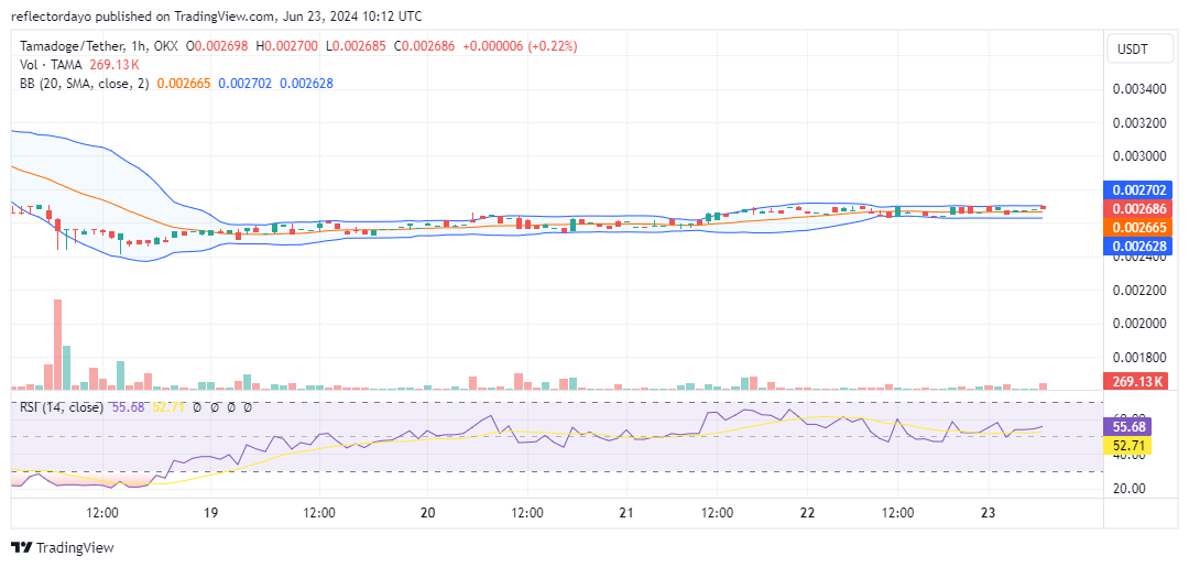 Tamadoge (TAMA/USD) Price Prepares for a Rally