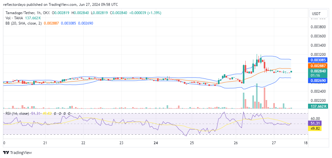 Tamadoge (TAMA/USD): Charting a Course After a Rollercoaster Week