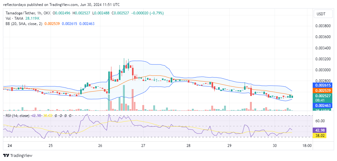 Tamadoge (TAMA/USD) Price Sustains Momentum Above $0.003