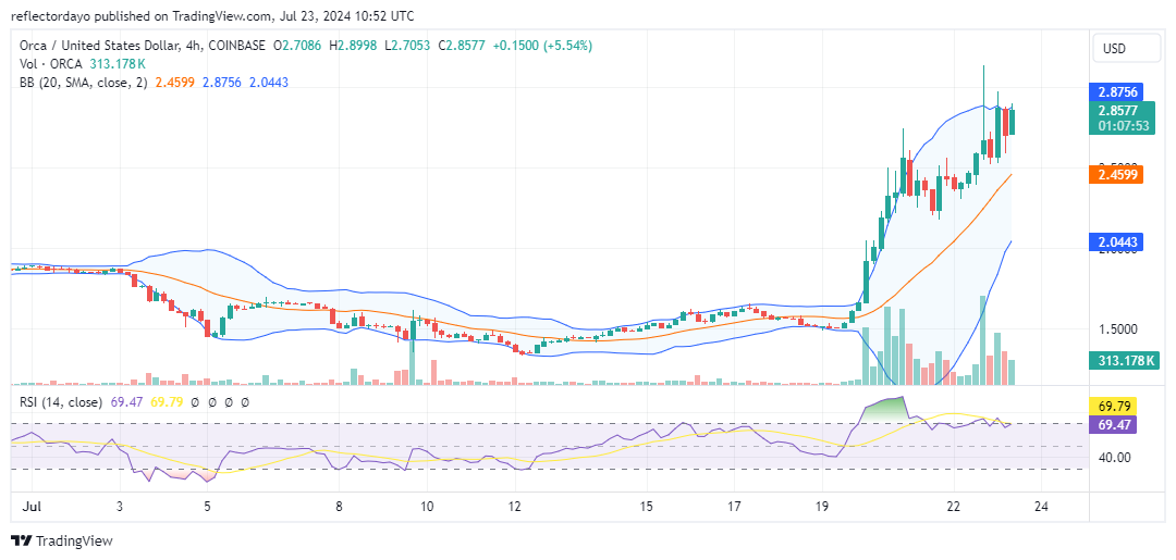 The Orca Market (ORCA/USD) Market on Fire: Will the Price Surge Continue?