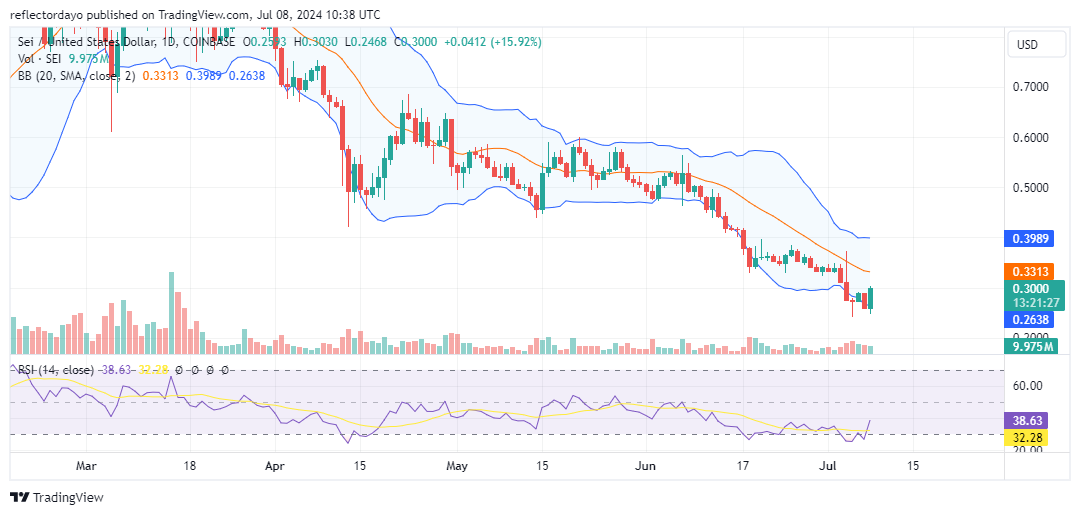 The Sei Market (SEI/USD) Strives to Rebound from Yearly Low