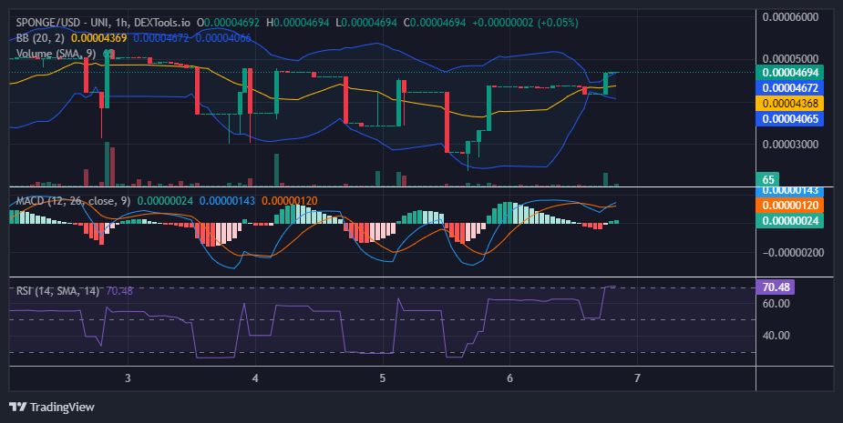 $SPONGE (SPONGE/USD): Bulls Demonstrate Resilience