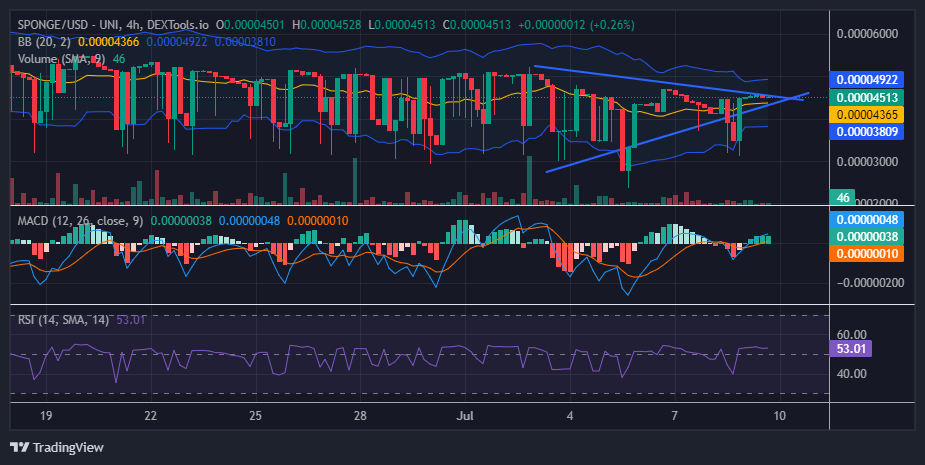 $SPONGE (SPONGE/USD) Price Makes a Comeback: Can the Rally Hold?