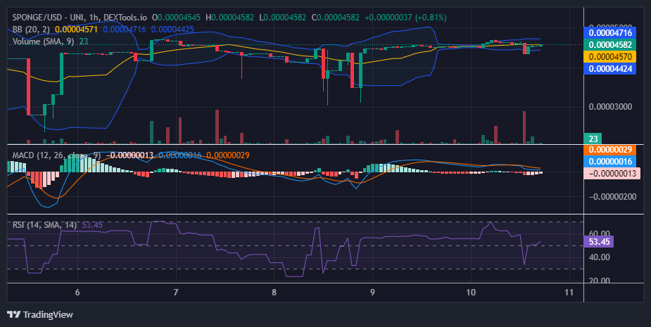 $SPONGE (SPONGE/USD) Squeezes Back, Can Bulls Maintain Momentum?