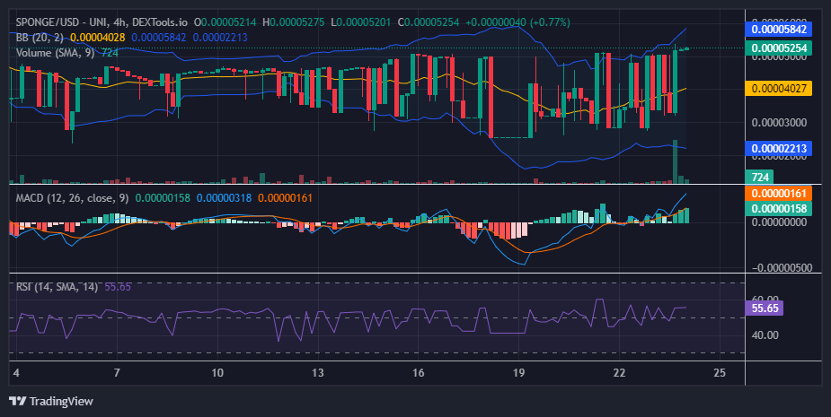 $SPONGE (SPONGE/USD): Price Surges as Bulls Take Control