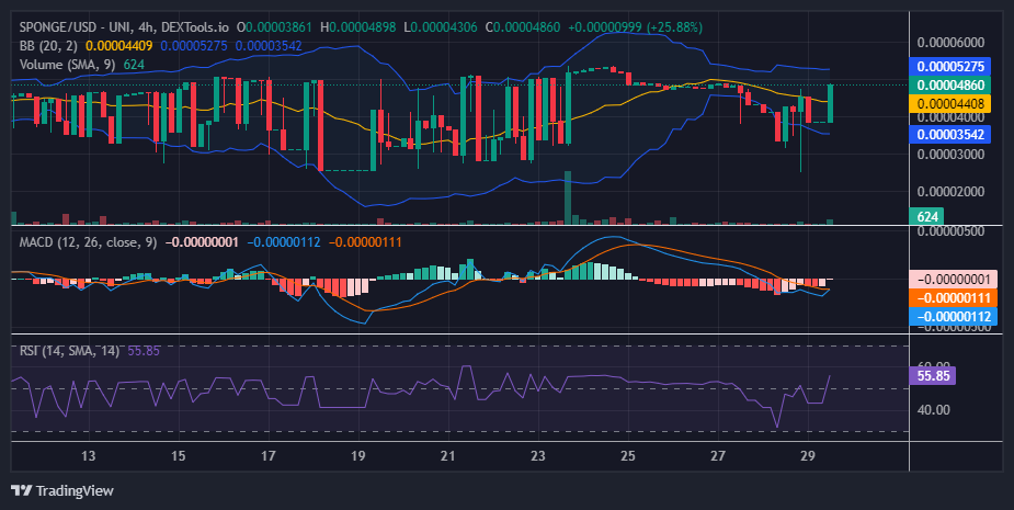 $SPONGE (SPONGE/USD) Bullish Resilience Sent Market Back on Course