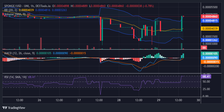 $SPONGE (SPONGE/USD) Bullish Resilience Sent Market Back on Course