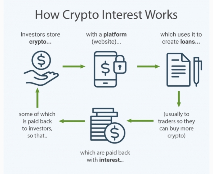 Top Cryptocurrency Lending Rates