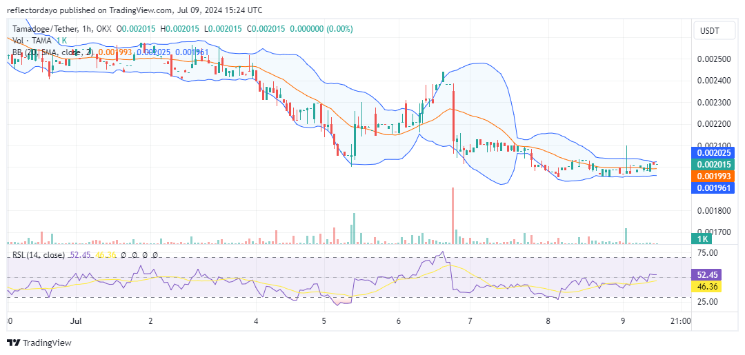 Tamadoge (TAMA/USD): Stalling at $0.002: Can Bulls Spark a Rebound?