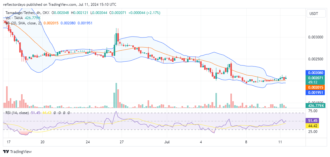 Tamadoge (TAMA/USD): Stalled at $0.002 - Can Bulls Revive the Price?