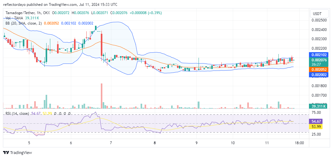 Tamadoge (TAMA/USD): Stalled at $0.002 - Can Bulls Revive the Price?