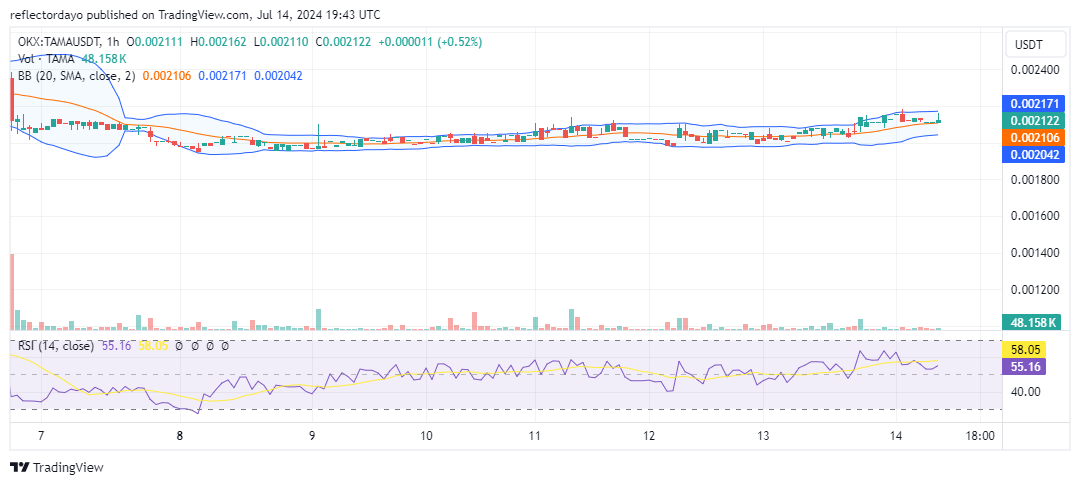 Tamadoge (TAMA/USD): Consolidates Near $0.002: Bullish Revival on the Horizon?