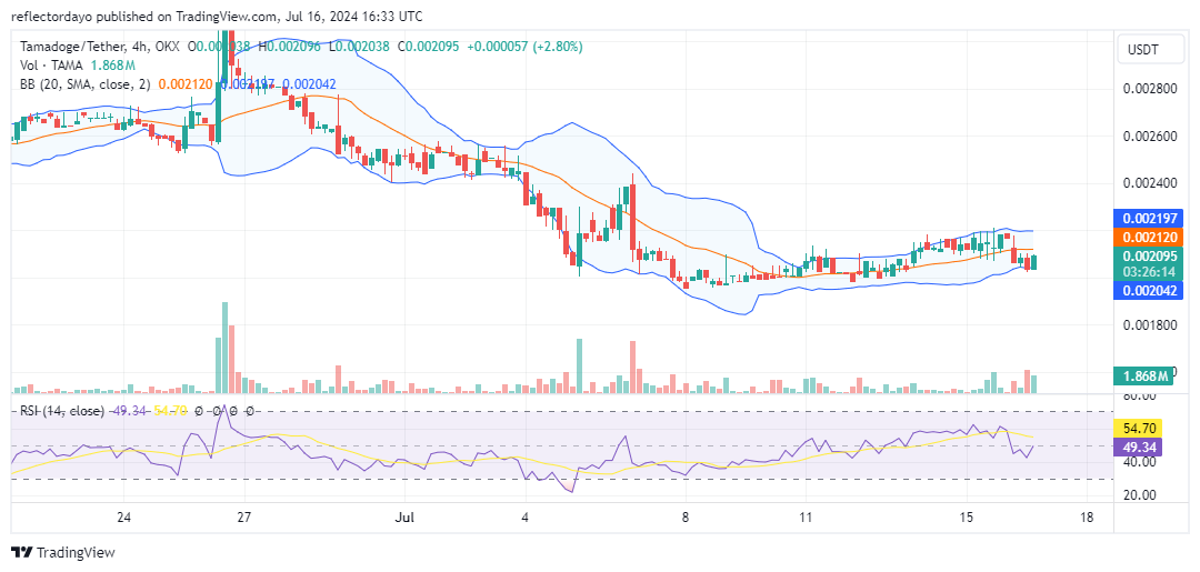 Tamadoge (TAMA/USD): Teeters on the Brink: Bullish Ambitions Challenged