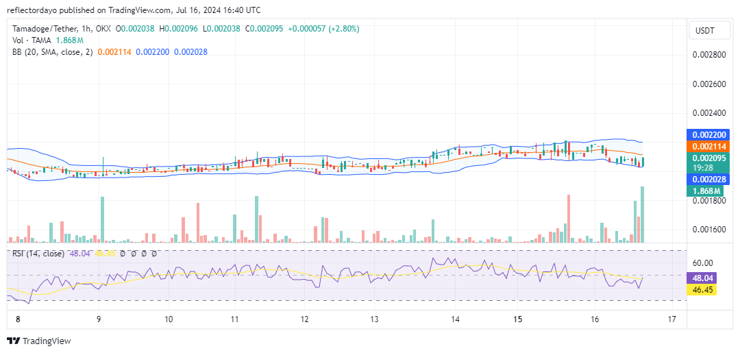 Tamadoge (TAMA/USD): Teeters on the Brink: Bullish Ambitions Challenged