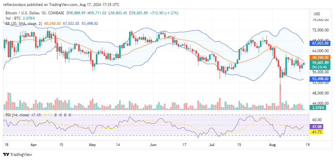 Top Trending Coins for Today, August 17: BTC, TON, SDEX, NOT, and SOL