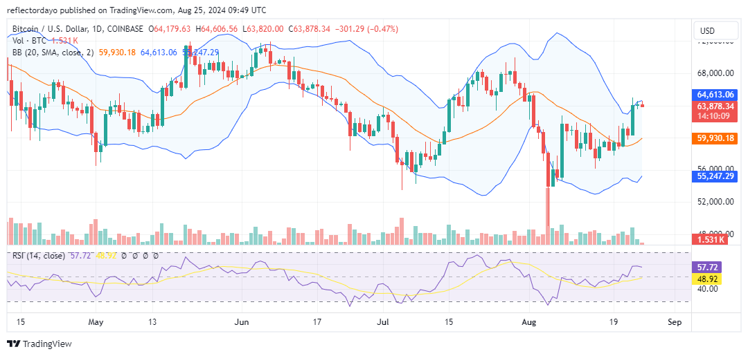 Top Trending Coins for Today, August 17: BTC, TON, NOT, PEPE, and NEIRO