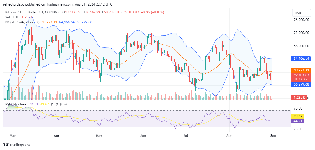 Top Trending Coins for Today, August 31: DOGS, TRONDOG, BTC, TON, and SOL