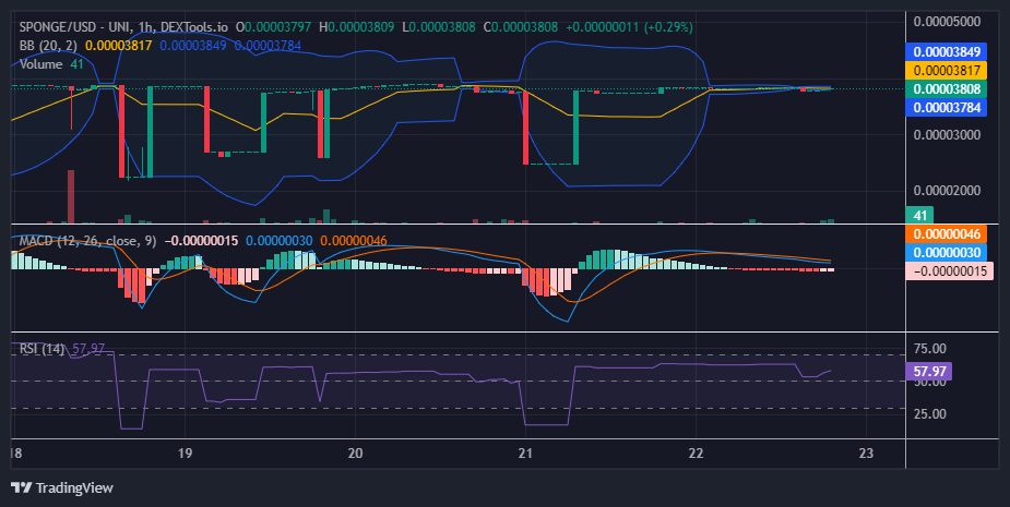 $SPONGE (SPONGE/USD): A Battle for Dominance