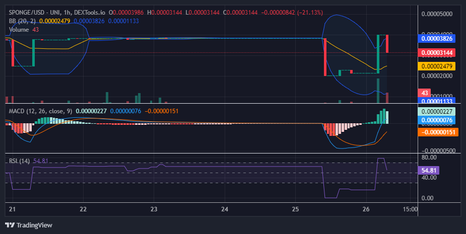 $SPONGE (SPONGE/USD) Testing the $0.00004 Price Level: Is a Breakout on the Horizon?