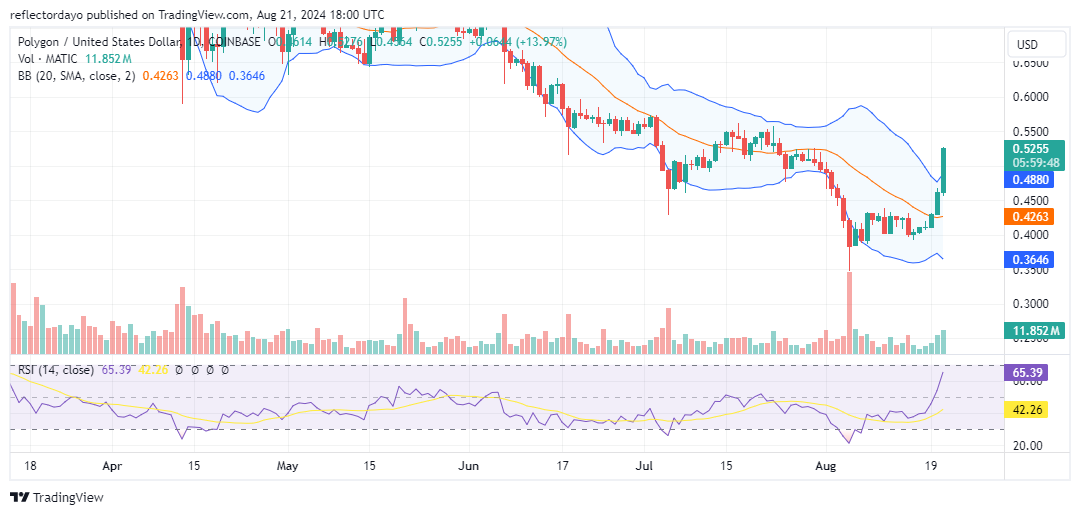 Polygon (MATIC/USD) Rally Gains Momentum, Surging Above $0.5