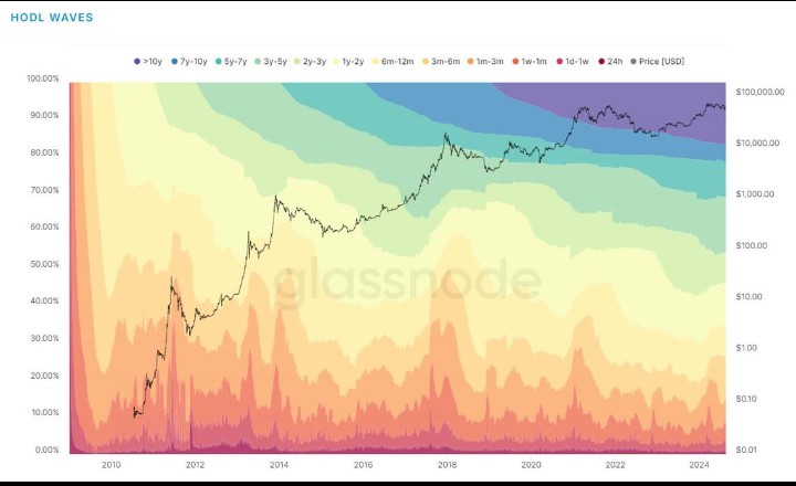 The Resilience of Bitcoin Holders: Analyzing the Long-Term Commitment Despite Market Volatility