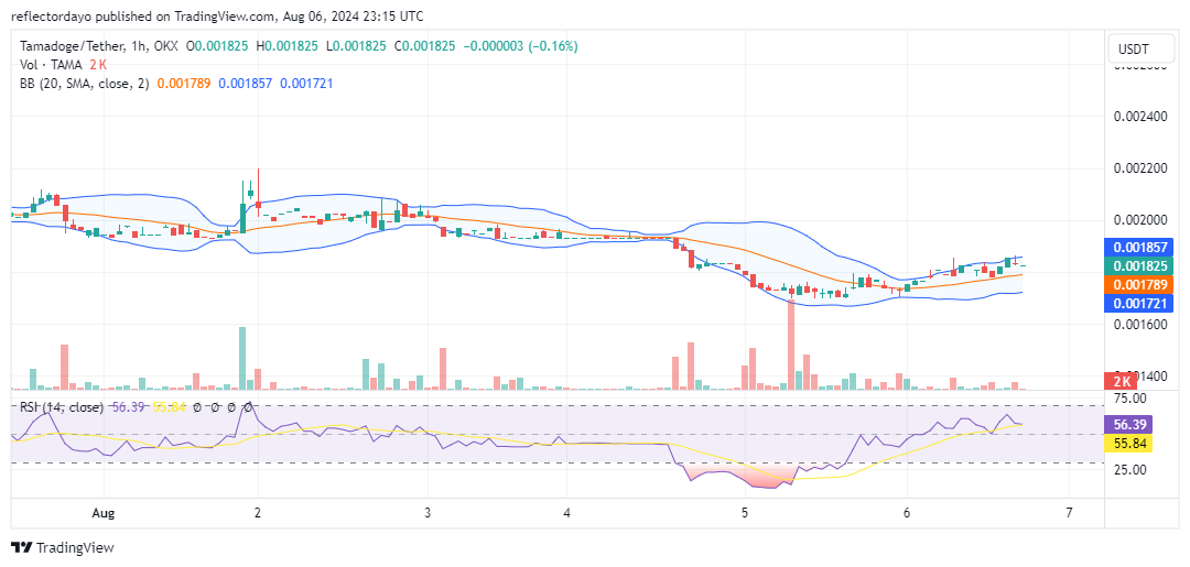 Tamadoge (TAMA/USD) Faces Temporary Setback, Buyers Reassert Control