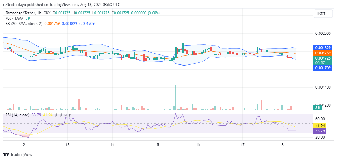 Tamadoge (TAMA/USD) Consolidates Before Next Bull Run