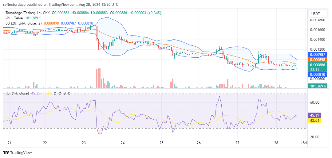 Tamadoge (TAMA/USD) Prepares to Launch Bullishly at the $0.00088